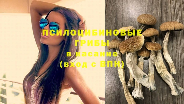 стаф Нефтекумск