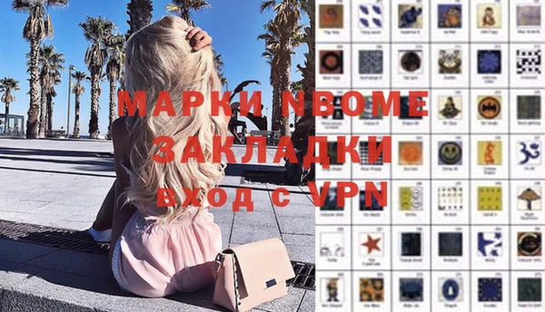 стаф Нефтекумск