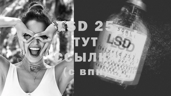 стаф Нефтекумск